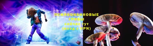 эйфоретик Касимов