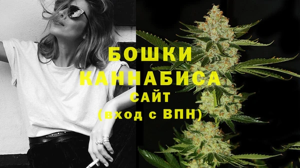 эйфоретик Касимов
