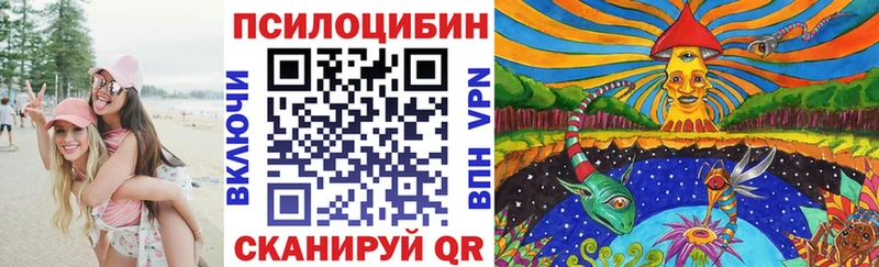 Купить Нарткала Галлюциногенные грибы Cubensis